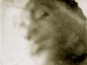 Transformation – Painted Sand