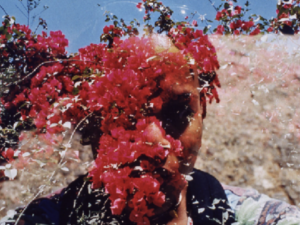 Nature, Girl Flowering Mind