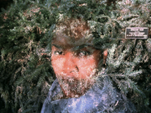 Nature, Girl – Yew Girl