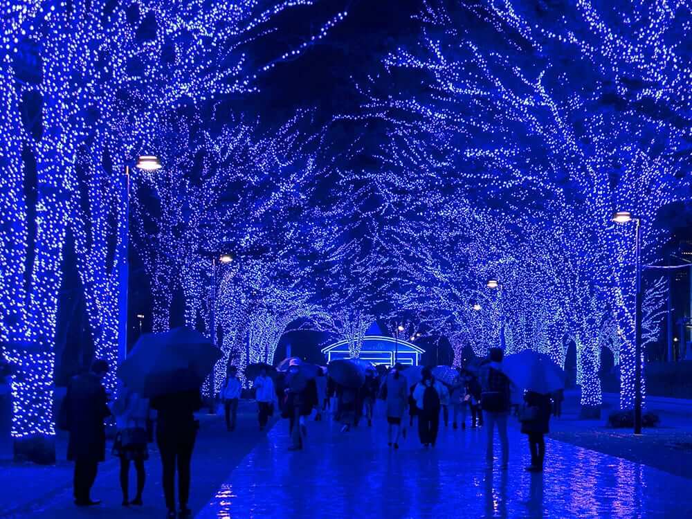 People walking underneath trees with Christmas lights at night 