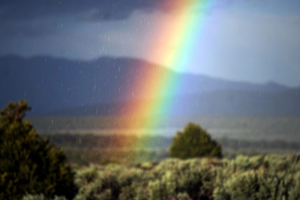 Rainbow in a forest during a rainstorm