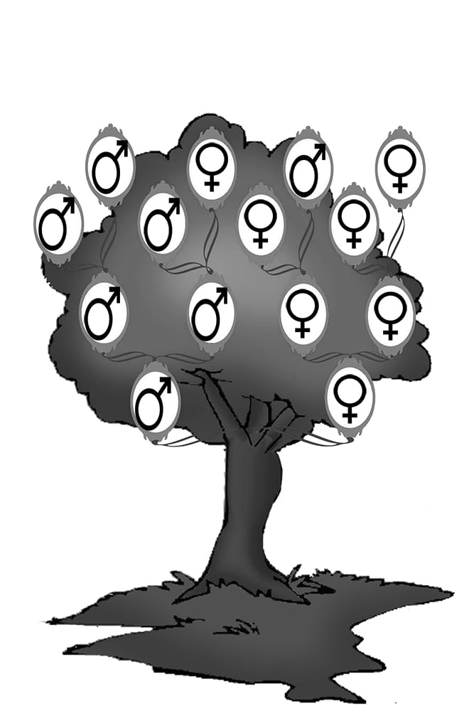 A family tree with one half full of the female gende signs and the other half full of the male gender signs 