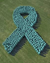 The ribbon for he sexual assault and prevention response 