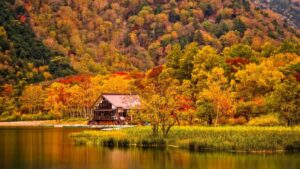 house on a riverbed in autumn