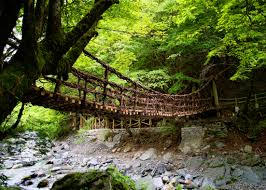 Wooden bridge across a canyon in the forest