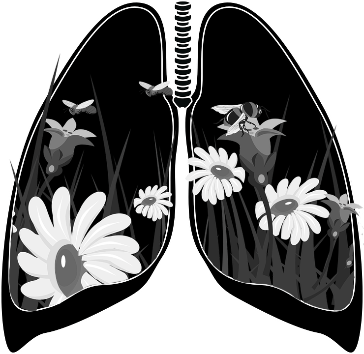 flowers growing from lungs