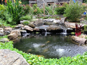 pond with waterfall and plants