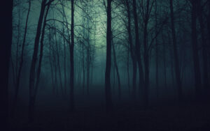 scary forest at night