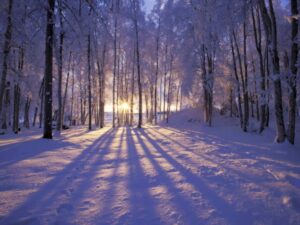 A sun setting on a wintery landscape 