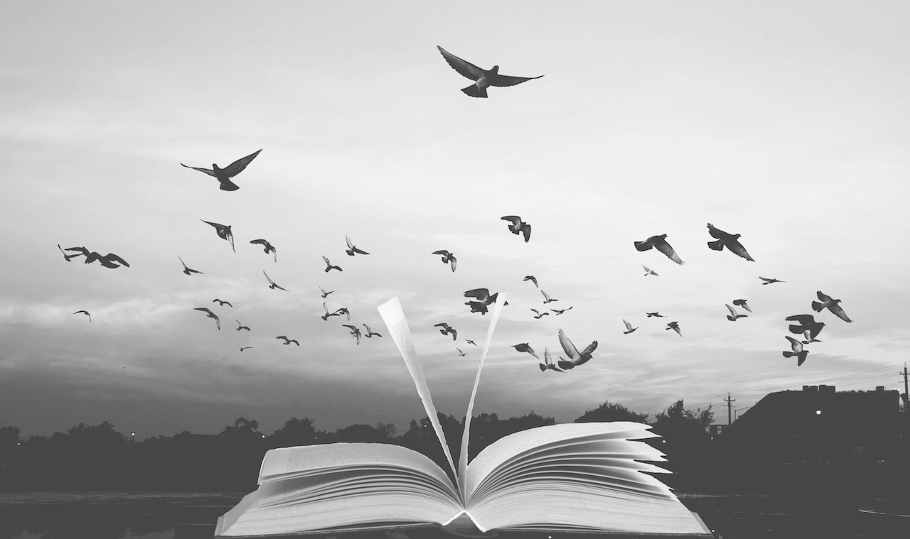 birds coming out of a book