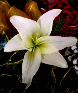 A Lilly within a bouquet of flowers 